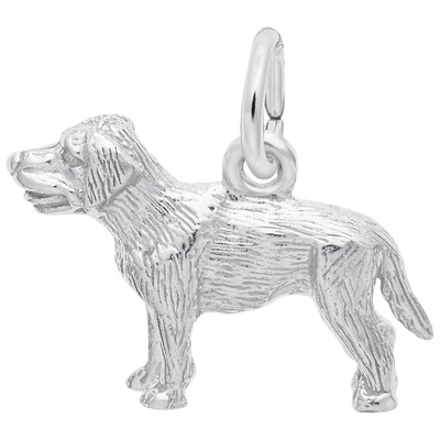 photo number one of Sterling silver Labrador charm item 001-710-02959