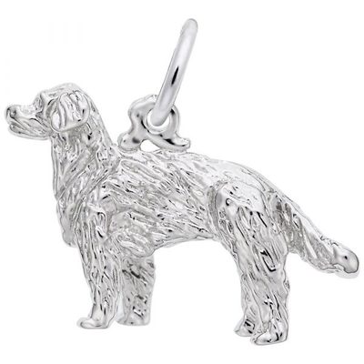 photo number one of Sterling silver golden retriever charm item 001-710-03429