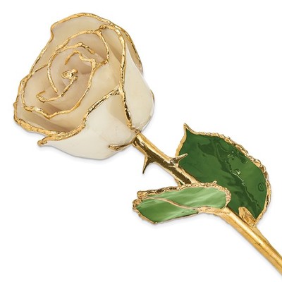 photo number one of Lacquer dipped gold trim white rose item 001-905-01372
