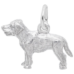 photo of Sterling silver Labrador charm item 001-710-02959