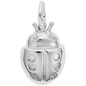 photo of Sterling silver Ladybug charm item 001-710-03868