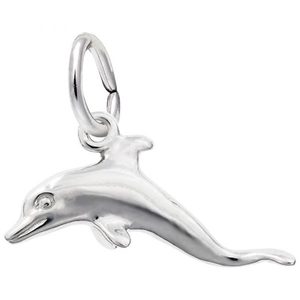 photo of Sterling silver dolphin charm item 001-710-03900