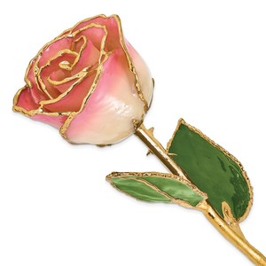 photo of Lacquer dipped white/pink rose item 001-905-01373